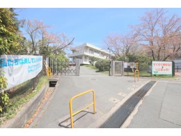 生駒市立生駒小学校：1519m