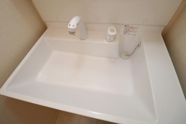 ラ・シルエラ（302） 部屋画像