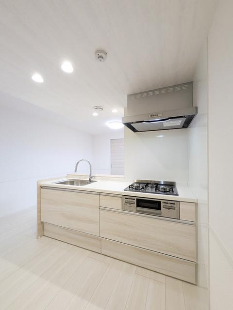 D Paina Egawa Ⅰ（202） トイレ