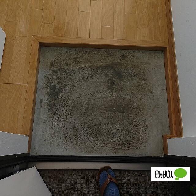 横浜市南区永田南アパート 部屋画像