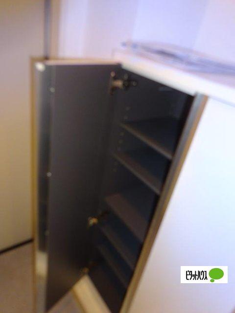 スピカハイツ弘明寺 玄関
