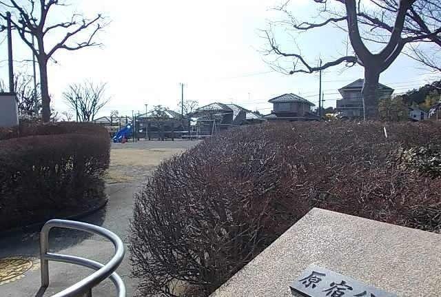 原宿公園：74m