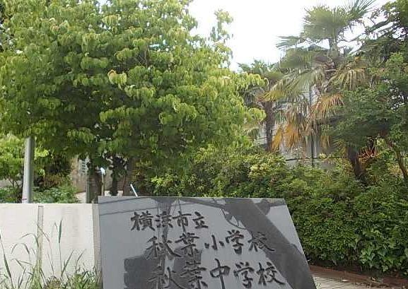 秋葉小学校：570m