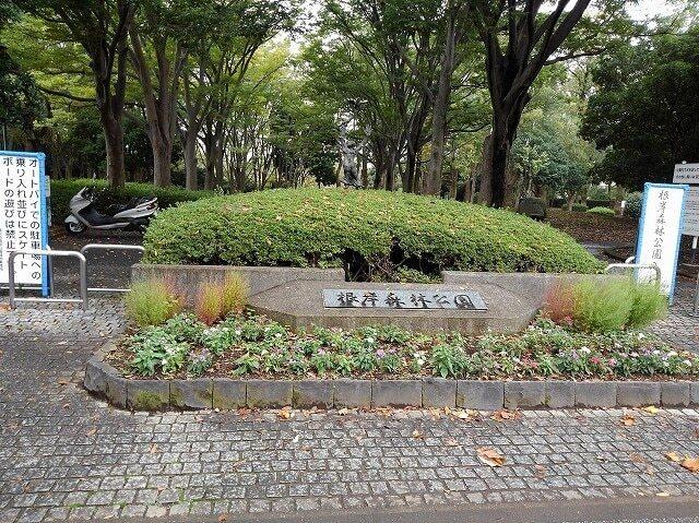 根岸森林公園：617m