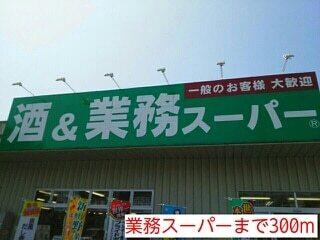 業務スーパー：300m