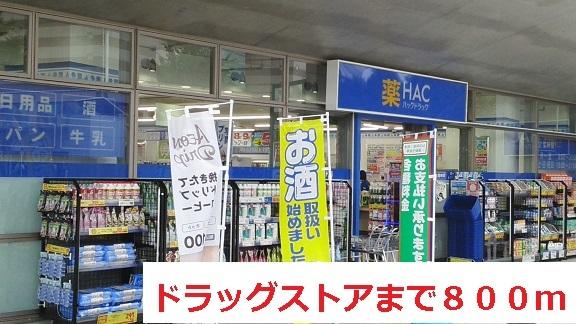 ドラッグストア：800m