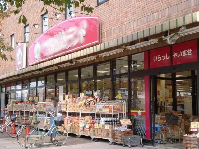 つるかめランド本牧店：443m