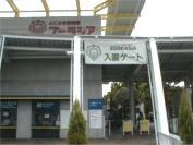 ズーラシア：800m