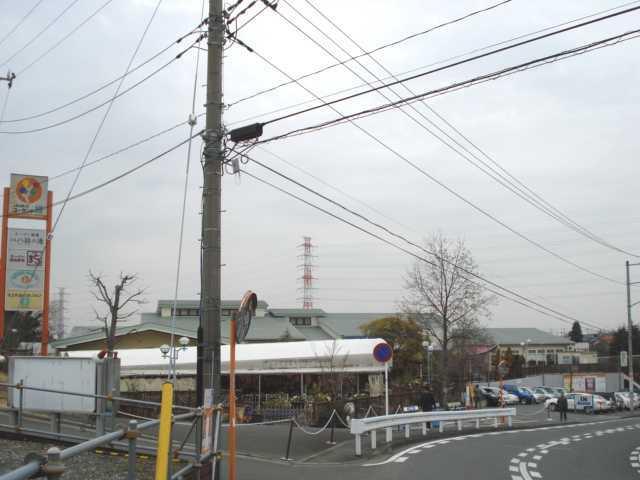 ユーランド緑：780m