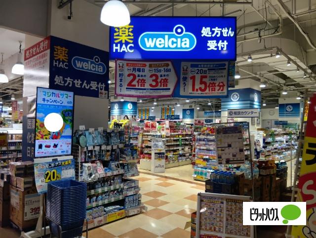 ハックドラッグベイタウン本牧5番街店：260m
