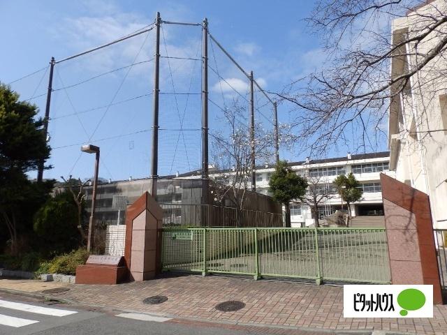 横浜市立本牧小学校：582m