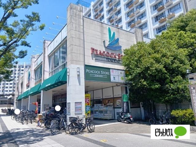 ピーコックストア洋光台店：503m
