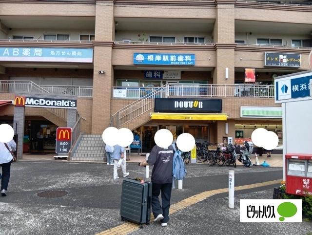 ドトールコーヒーショップ根岸店：443m