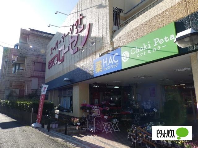 そうてつローゼン六ツ川店：999m