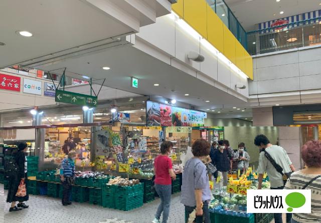 ひまわり市場：919m