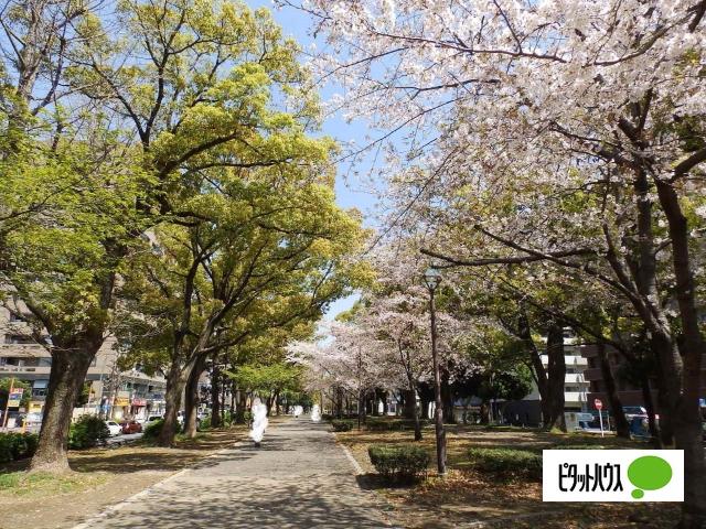 大通り公園：1017m