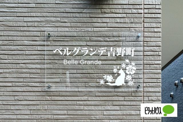 横浜市南区睦町アパート その他