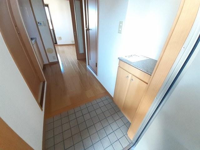 アヴェニュー谷川（204） 玄関