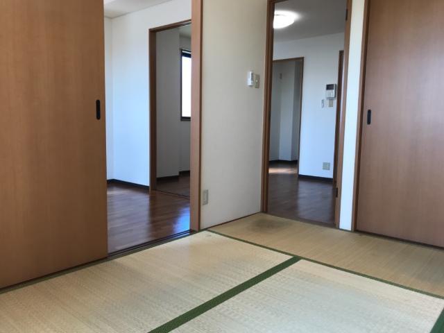 エクセルコート 部屋画像