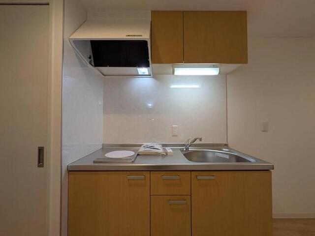 TAISHI CUBE（205） キッチン