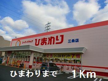 ひまわり：1000m