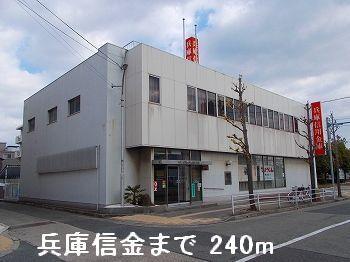 兵庫信金：240m