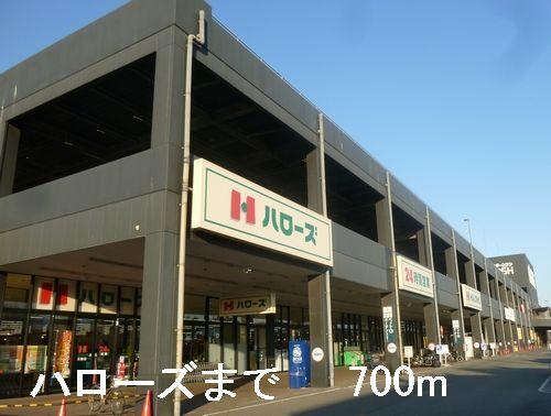 ハローズ：700m