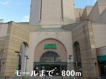 モール：800m