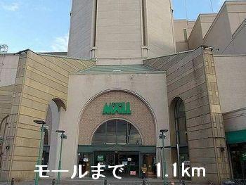 モール：1100m