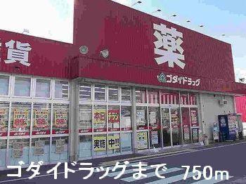 ゴダイドラッグ：750m