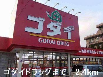 ゴダイドラッグ：2400m