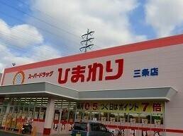 ひまわり：250m