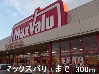 マックスバリュ：300m