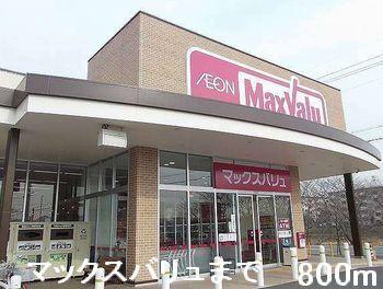 マックスバリュ：800m