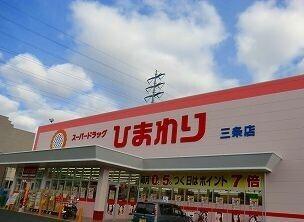 ひまわり：250m