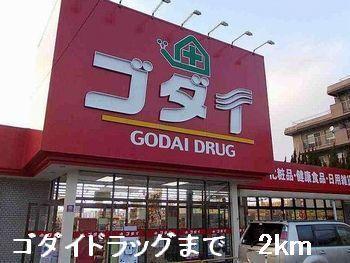 ゴダイドラッグ：2000m