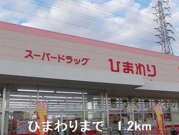 ひまわり：1200m