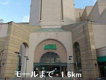 モール：1600m