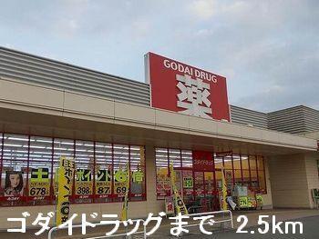 ゴダイドラッグ：2500m