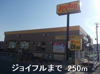 ジョイフル：250m