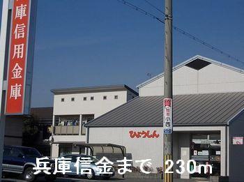 兵庫信金：230m
