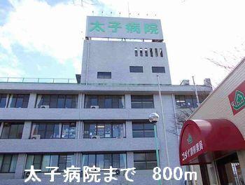 太子病院：800m