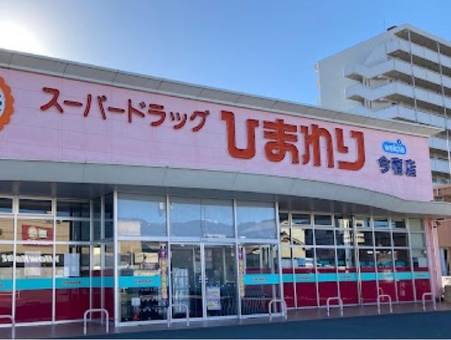 ひまわり：800m