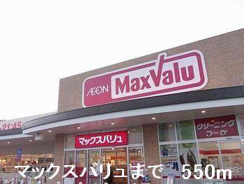 マックスバリュ：550m