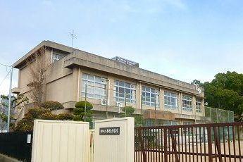 勝原小学校：650m
