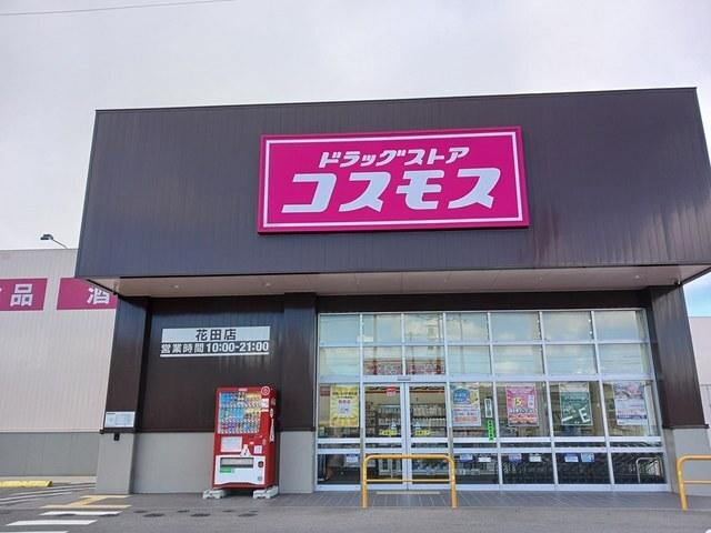 コスモス：550m