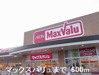 マックスバリュ：600m