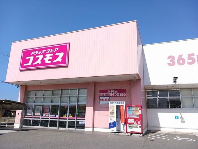 コスモス：600m