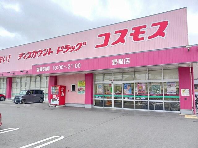 コスモス：430m