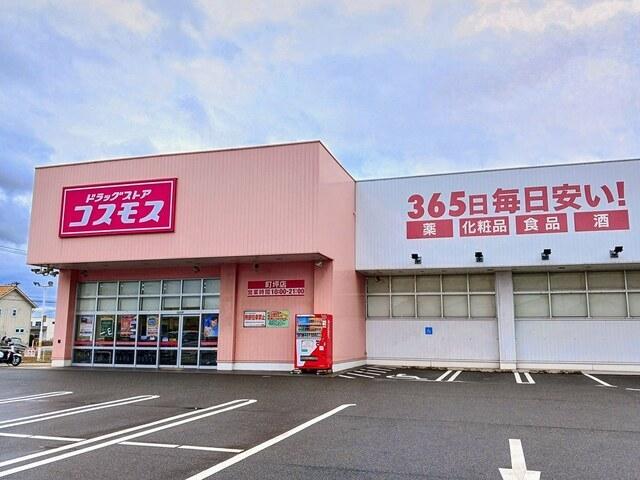コスモス：500m